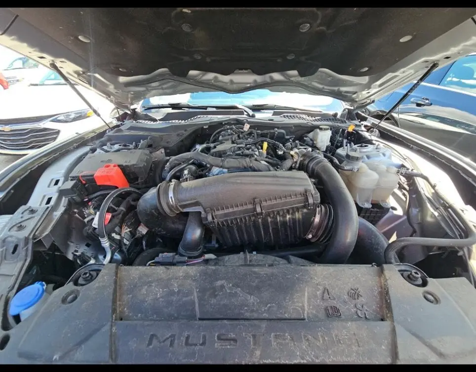 Florida Fine Cars - Used FORD MUSTANG 2024 WEST PALM ECOBOOST