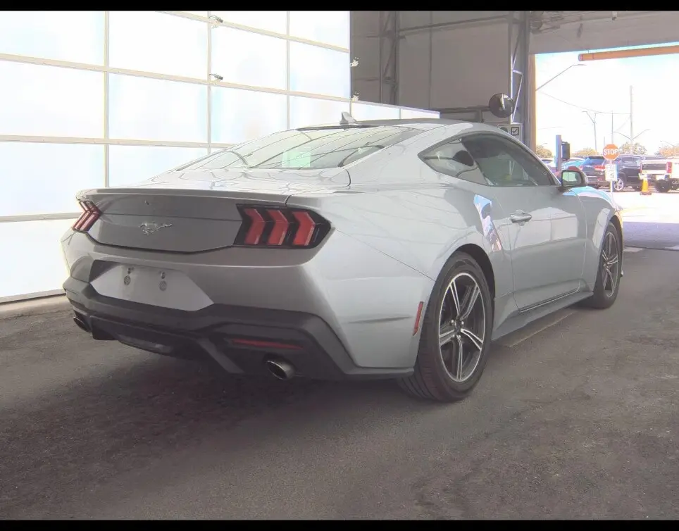Florida Fine Cars - Used FORD MUSTANG 2024 WEST PALM ECOBOOST