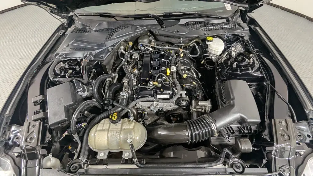 Florida Fine Cars - Used FORD MUSTANG 2021 ORLANDO ECOBOOST