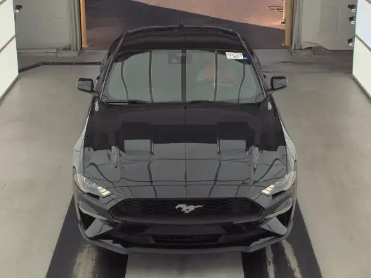 Florida Fine Cars - Used FORD MUSTANG 2021 ORLANDO ECOBOOST