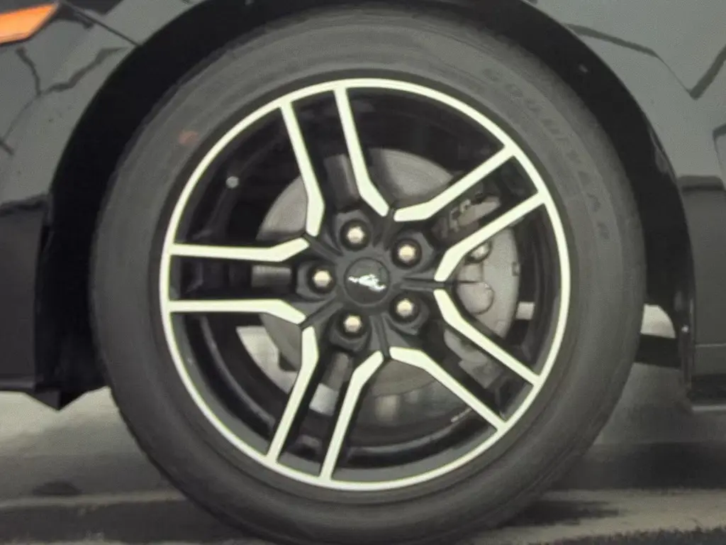 Florida Fine Cars - Used FORD MUSTANG 2021 ORLANDO ECOBOOST