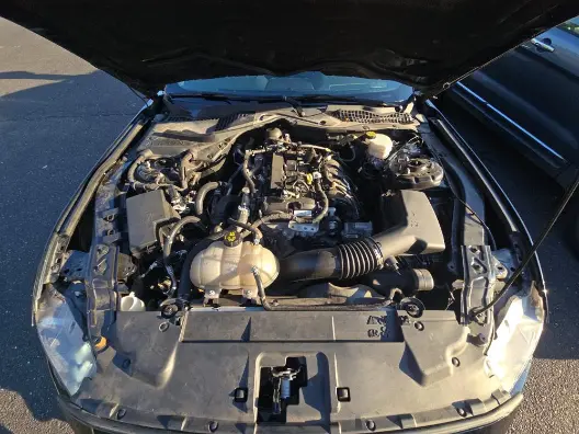 Florida Fine Cars - Used FORD MUSTANG 2021 ORLANDO ECOBOOST