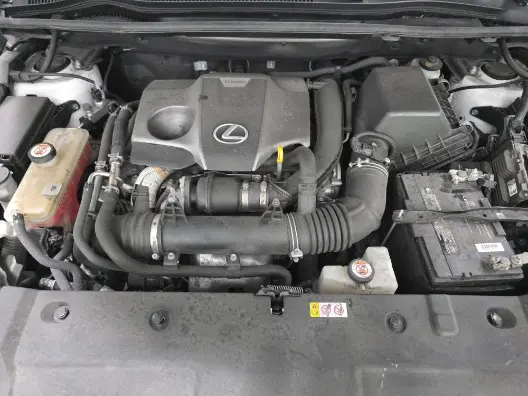 Florida Fine Cars - Used LEXUS NX 2020 MIAMI NX 300