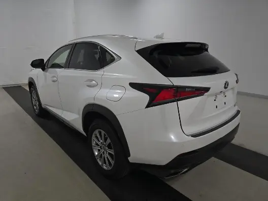 Florida Fine Cars - Used LEXUS NX 2020 MIAMI NX 300
