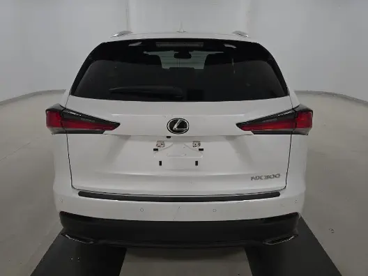 Florida Fine Cars - Used LEXUS NX 2020 MIAMI NX 300