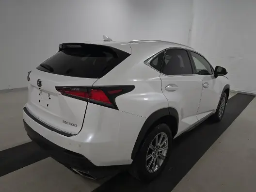 Florida Fine Cars - Used LEXUS NX 2020 MIAMI NX 300