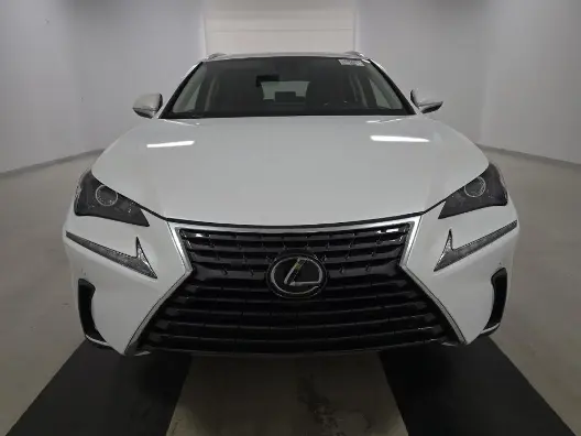 Florida Fine Cars - Used LEXUS NX 2020 MIAMI NX 300