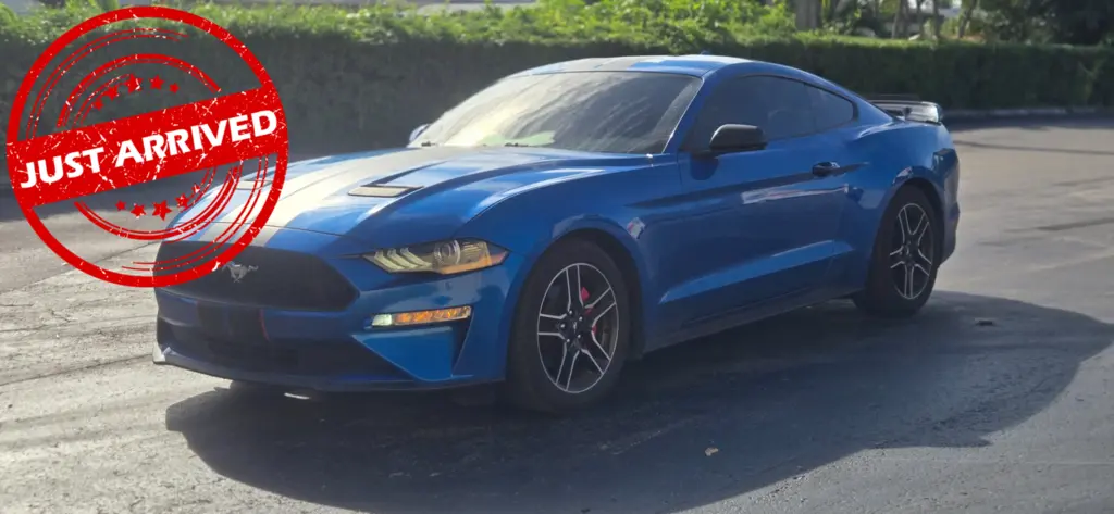 Florida Fine Cars - Used FORD MUSTANG 2021 MIAMI ECOBOOST PREMIUM