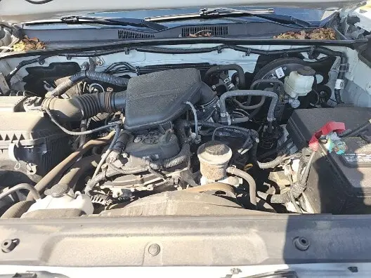 Florida Fine Cars - Used TOYOTA TACOMA 2WD 2019 MIAMI SR