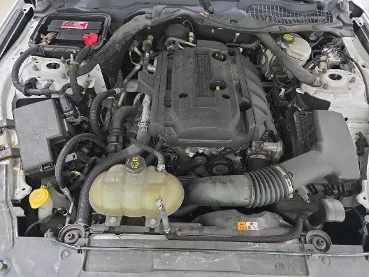 Florida Fine Cars - Used FORD MUSTANG 2018 MARGATE ECOBOOST PREMIUM