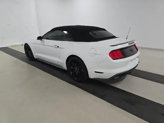 Florida Fine Cars - Used FORD MUSTANG 2018 MARGATE ECOBOOST PREMIUM