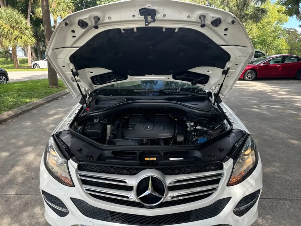 Florida Fine Cars - Used MERCEDES-BENZ GLE 2017 WEST PALM GLE 350