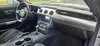 Florida Fine Cars - Used FORD MUSTANG 2023 MIAMI ECOBOOST PREMIUM