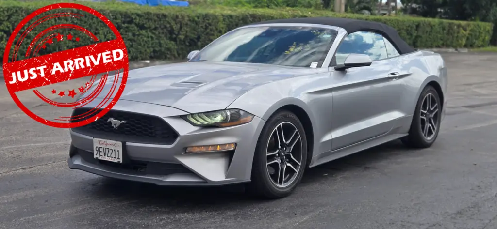 Florida Fine Cars - Used FORD MUSTANG 2023 MIAMI ECOBOOST PREMIUM