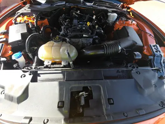 Florida Fine Cars - Used FORD MUSTANG 2021 ORLANDO ECOBOOST