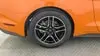 Florida Fine Cars - Used FORD MUSTANG 2021 ORLANDO ECOBOOST