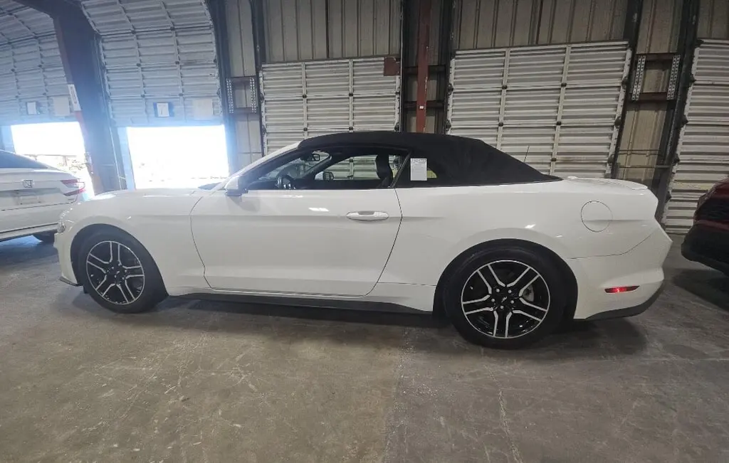 Florida Fine Cars - Used FORD MUSTANG 2020 WEST PALM ECOBOOST