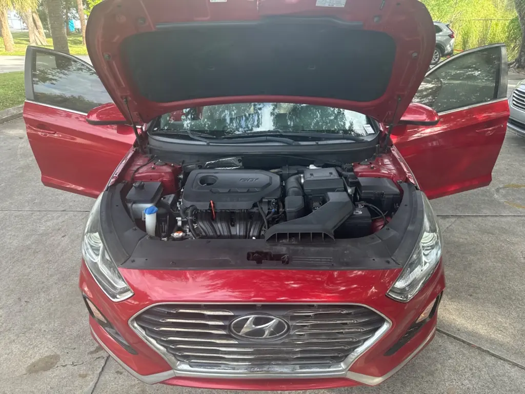 Florida Fine Cars - Used HYUNDAI SONATA 2019 WEST PALM SE