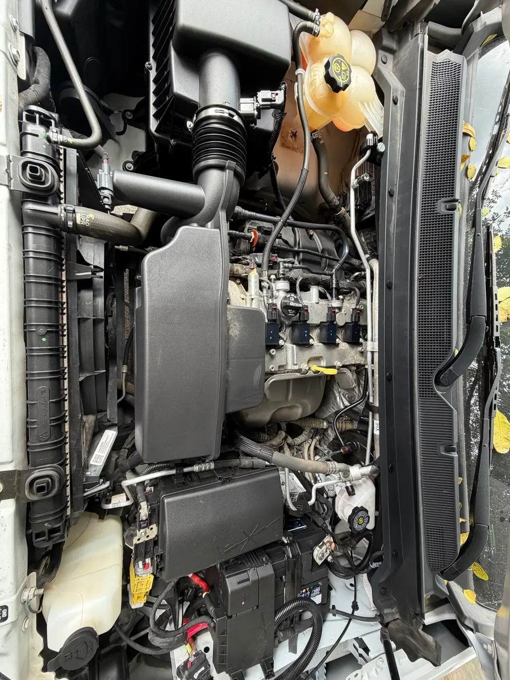 Florida Fine Cars - Used CHEVROLET COLORADO 2022 MIAMI 2WD LT