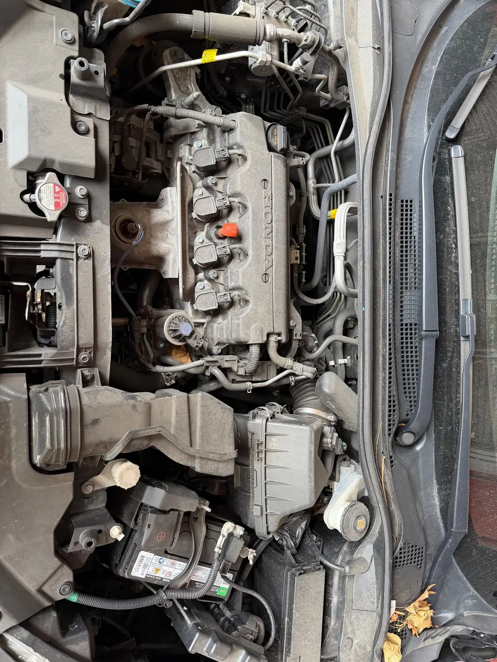 Florida Fine Cars - Used HONDA HR-V 2022 MARGATE EX