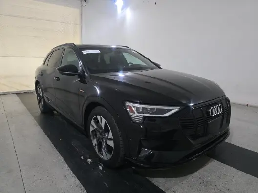 Florida Fine Cars - Used AUDI E-TRON 2022 ORLANDO PREMIUM