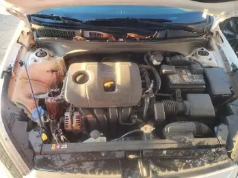 Florida Fine Cars - Used KIA FORTE 2023 MARGATE LXS