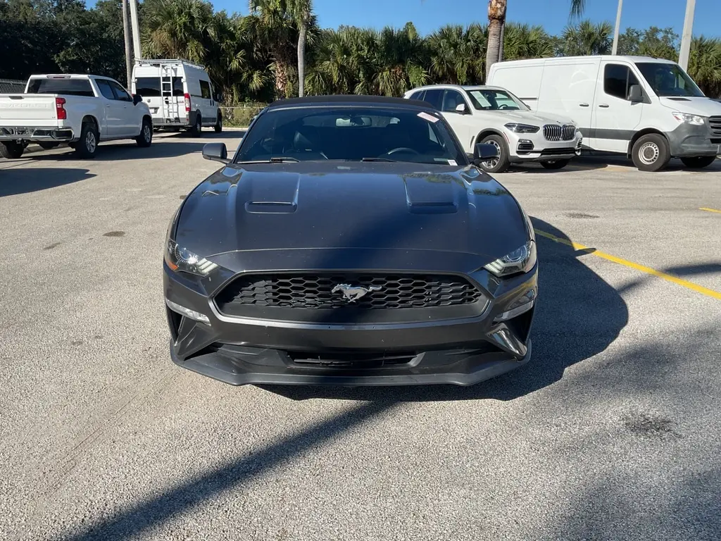 Florida Fine Cars - Used FORD MUSTANG 2019 ORLANDO ECOBOOST