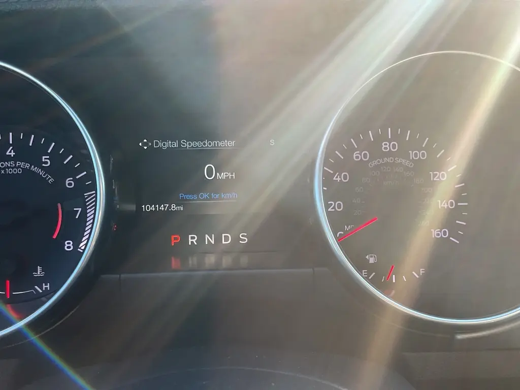 Florida Fine Cars - Used FORD MUSTANG 2019 ORLANDO ECOBOOST