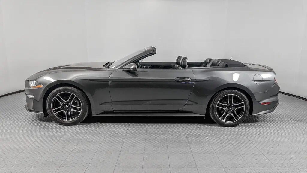 Florida Fine Cars - Used FORD MUSTANG 2019 ORLANDO ECOBOOST