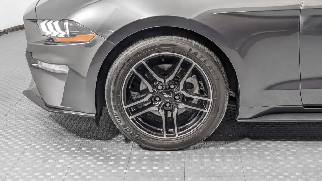 Florida Fine Cars - Used FORD MUSTANG 2019 ORLANDO ECOBOOST