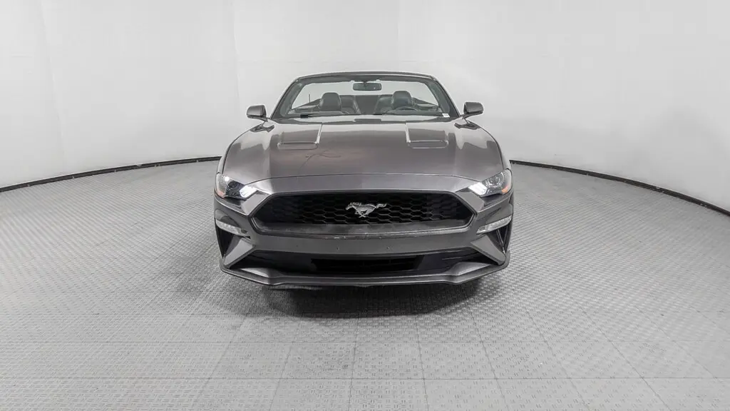 Florida Fine Cars - Used FORD MUSTANG 2019 ORLANDO ECOBOOST