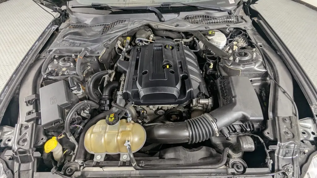 Florida Fine Cars - Used FORD MUSTANG 2019 ORLANDO ECOBOOST