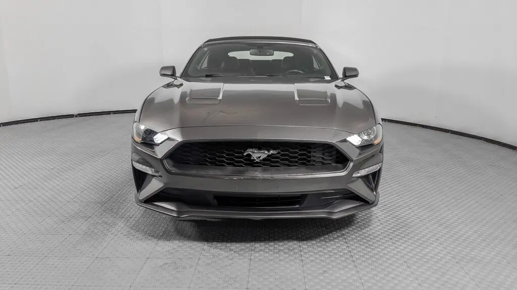 Florida Fine Cars - Used FORD MUSTANG 2019 ORLANDO ECOBOOST