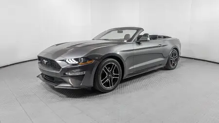 Florida Fine Cars - Used FORD MUSTANG 2019 ORLANDO ECOBOOST