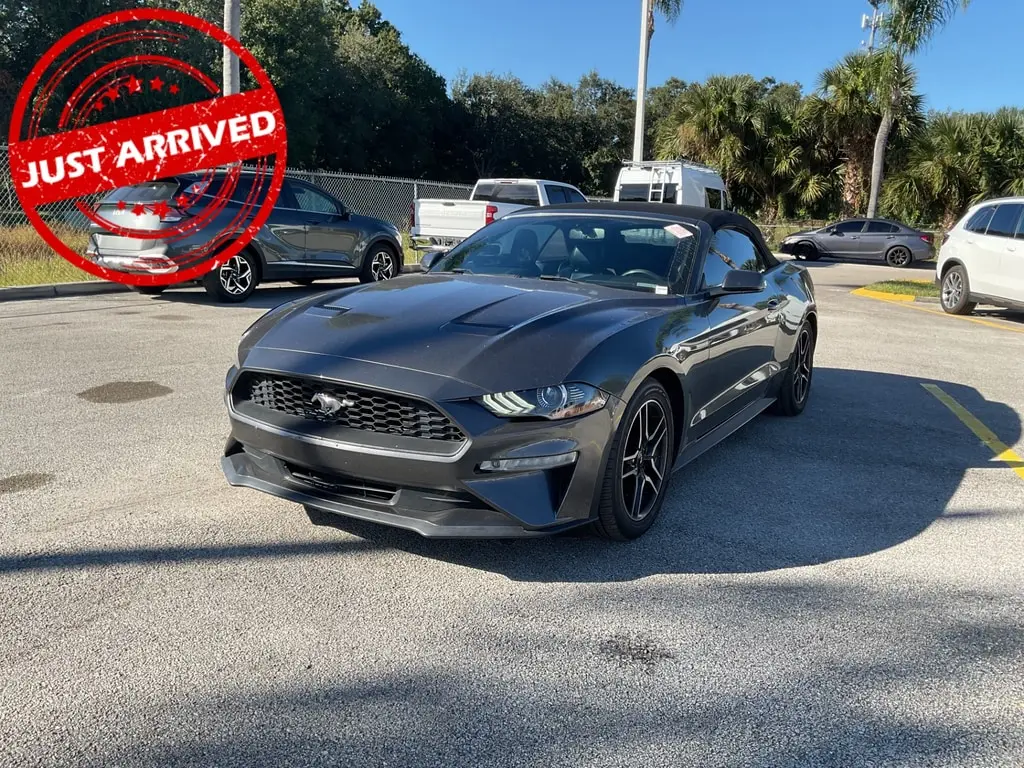 Florida Fine Cars - Used FORD MUSTANG 2019 ORLANDO ECOBOOST