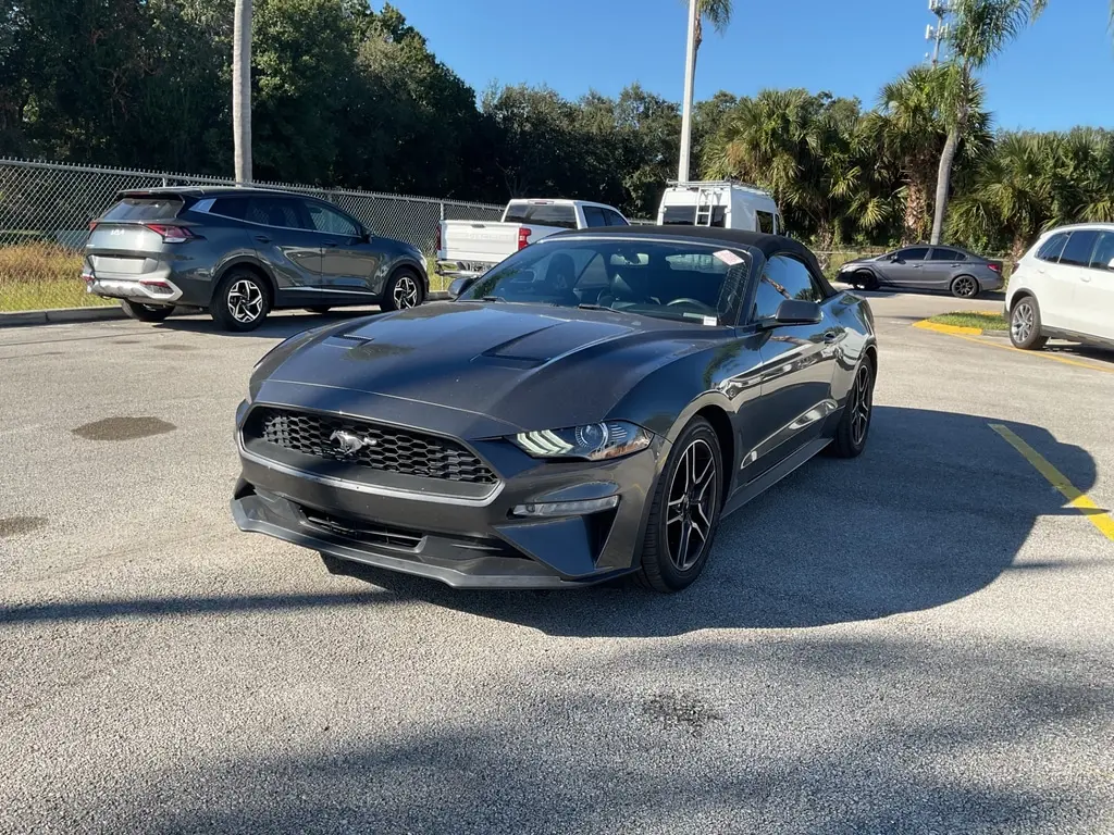 Florida Fine Cars - Used FORD MUSTANG 2019 ORLANDO ECOBOOST