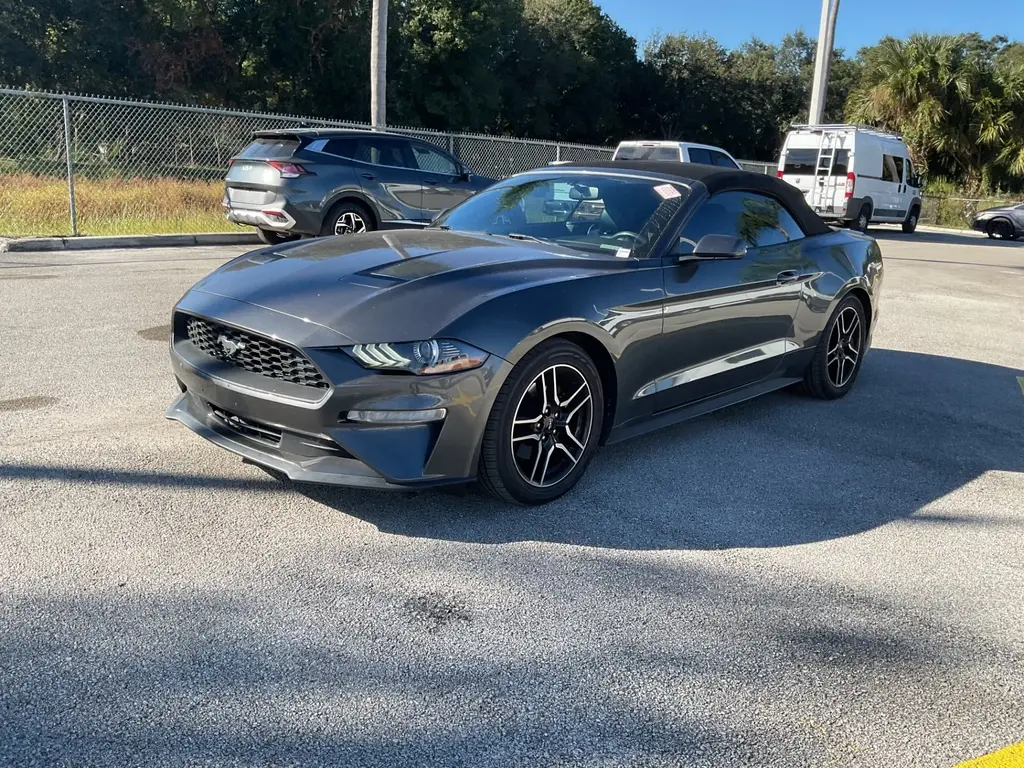 Florida Fine Cars - Used FORD MUSTANG 2019 ORLANDO ECOBOOST