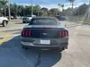 Florida Fine Cars - Used FORD MUSTANG 2019 ORLANDO ECOBOOST