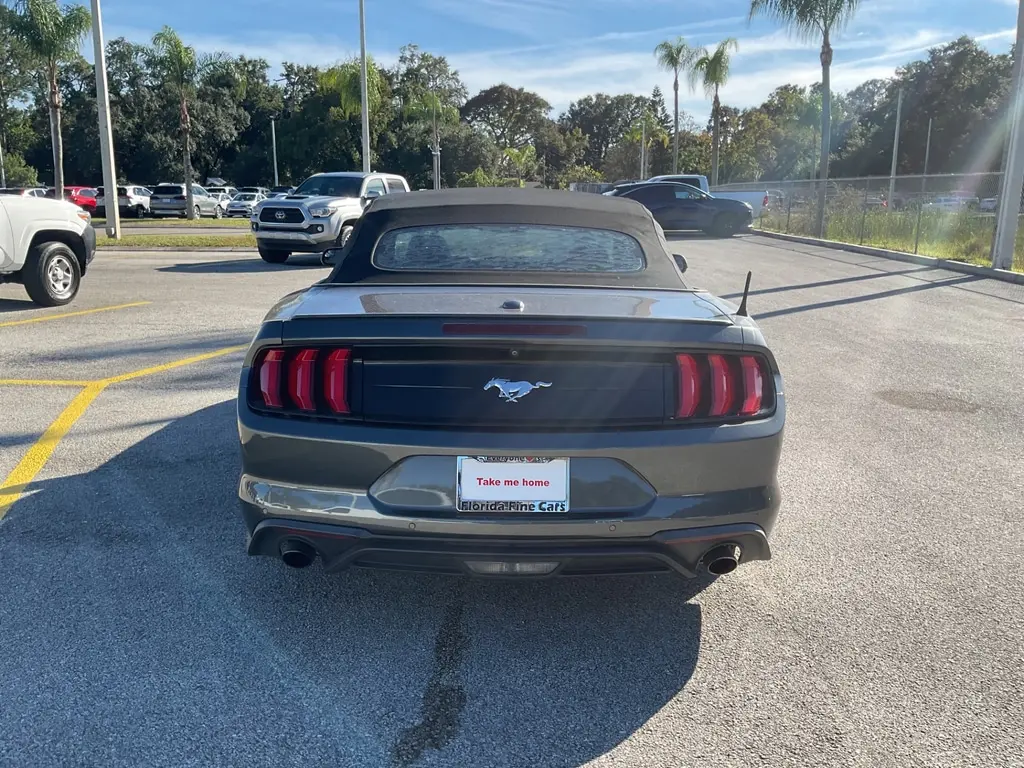 Florida Fine Cars - Used FORD MUSTANG 2019 ORLANDO ECOBOOST