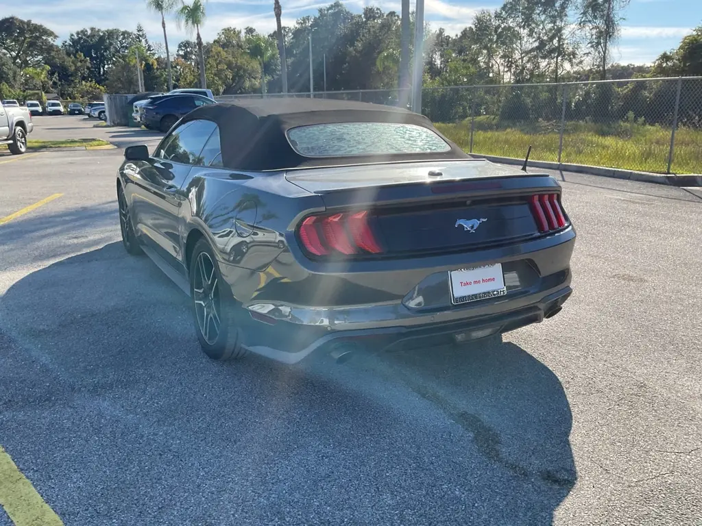 Florida Fine Cars - Used FORD MUSTANG 2019 ORLANDO ECOBOOST