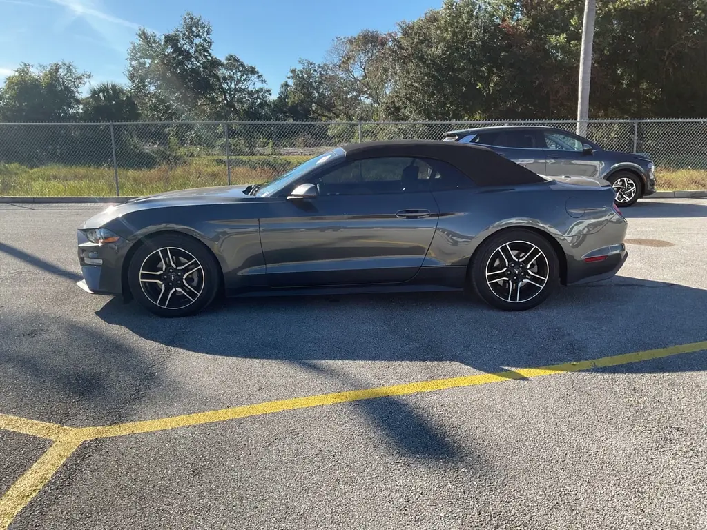 Florida Fine Cars - Used FORD MUSTANG 2019 ORLANDO ECOBOOST