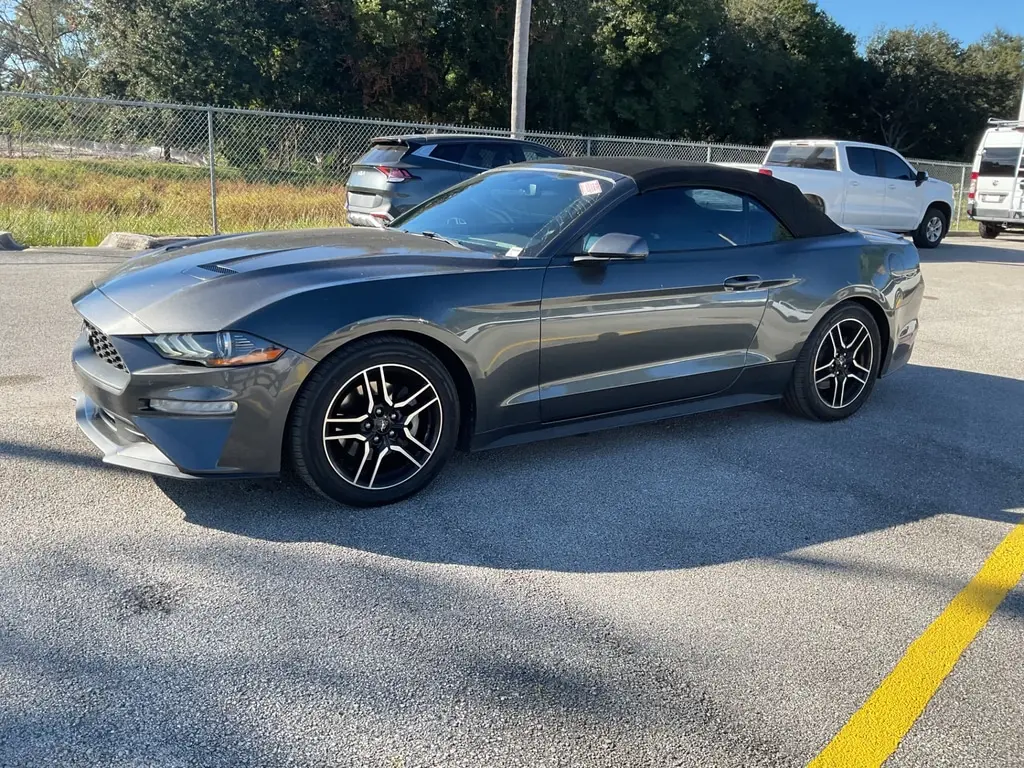 Florida Fine Cars - Used FORD MUSTANG 2019 ORLANDO ECOBOOST