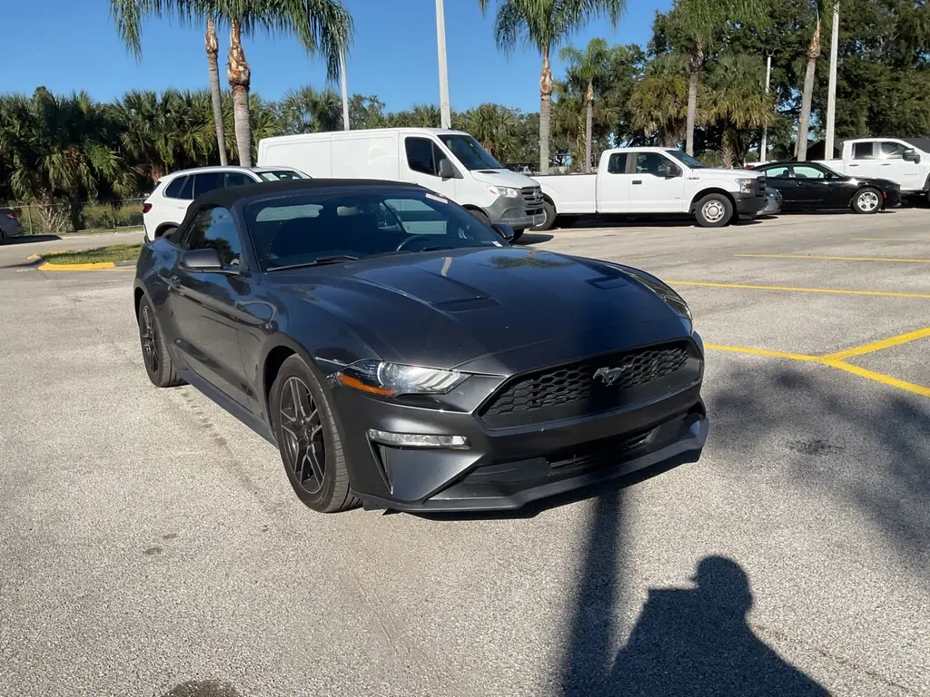 Florida Fine Cars - Used FORD MUSTANG 2019 ORLANDO ECOBOOST