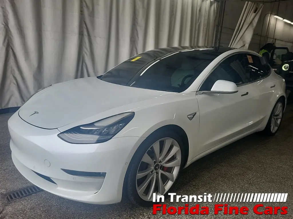 Florida Fine Cars - Used TESLA MODEL 3 2019 WEST PALM LONG RANGE