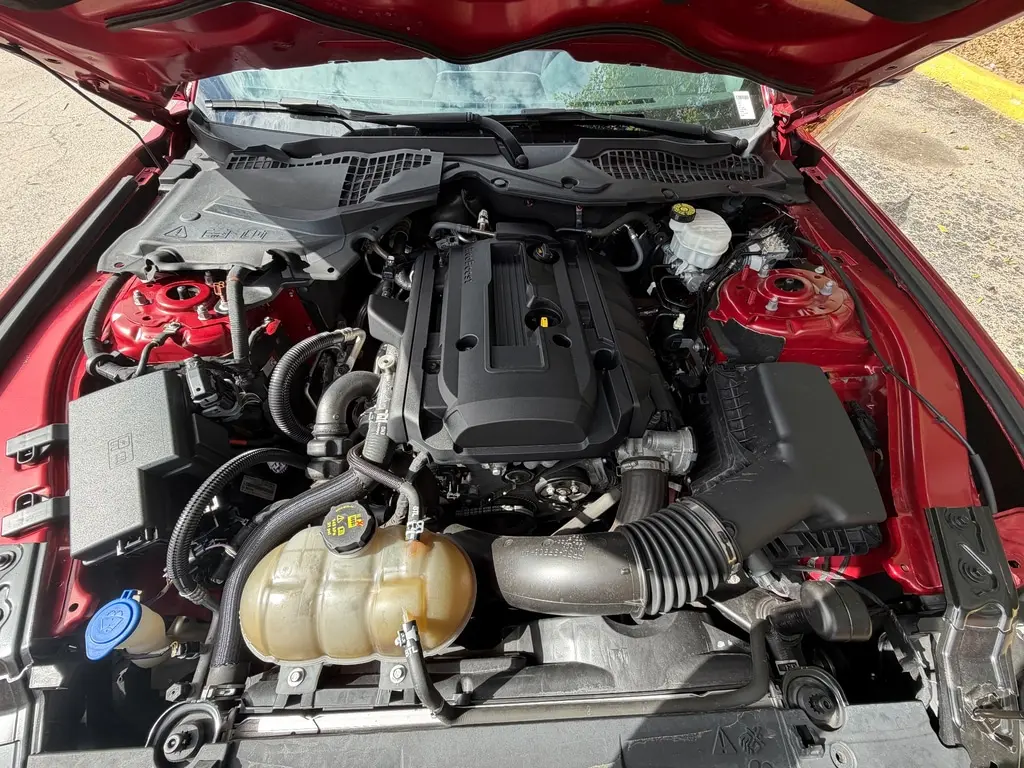 Florida Fine Cars - Used FORD MUSTANG 2020 MIAMI ECOBOOST