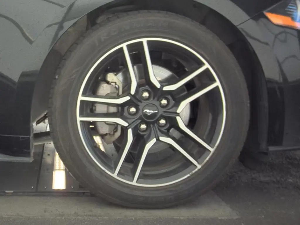 Florida Fine Cars - Used FORD MUSTANG 2023 ORLANDO ECOBOOST PREMIUM