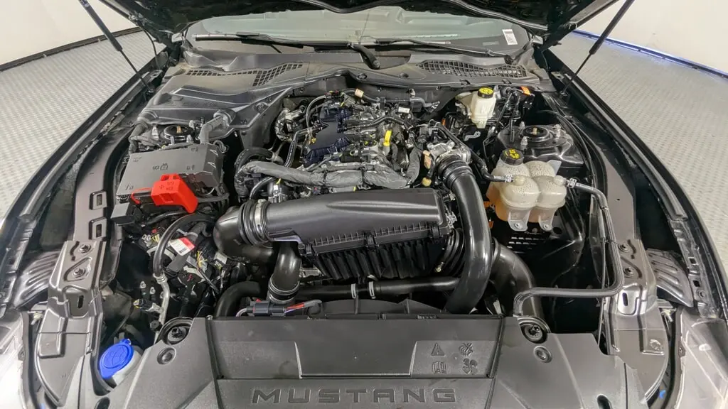 Florida Fine Cars - Used FORD MUSTANG 2024 ORLANDO ECOBOOST