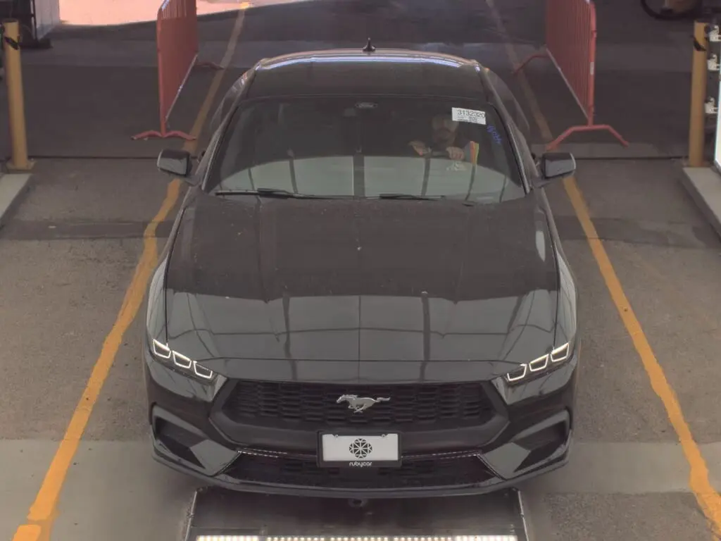 Florida Fine Cars - Used FORD MUSTANG 2024 ORLANDO ECOBOOST