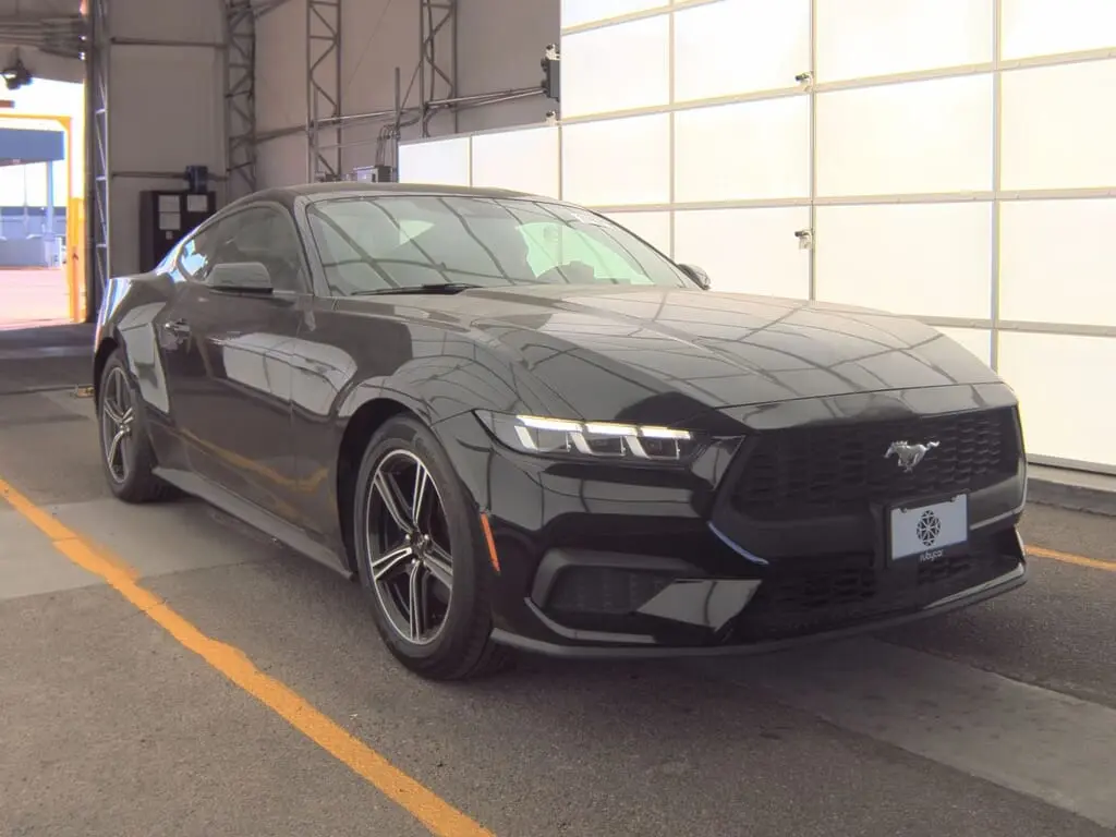 Florida Fine Cars - Used FORD MUSTANG 2024 ORLANDO ECOBOOST