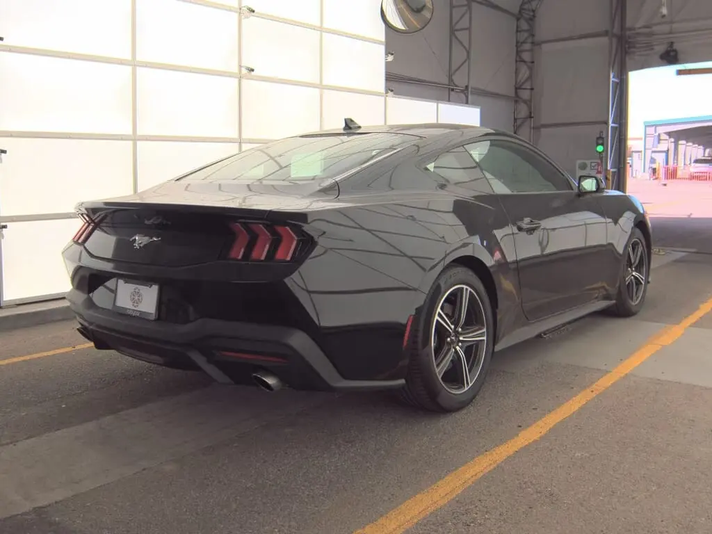 Florida Fine Cars - Used FORD MUSTANG 2024 ORLANDO ECOBOOST